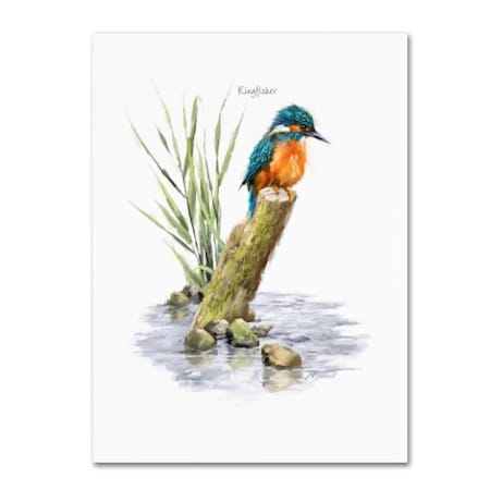 The Macneil Studio 'Kingfisher' Canvas Art,14x19